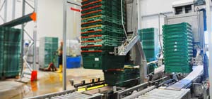 Crate Stacking System, AB Vasilopoulos / Delhaize Group